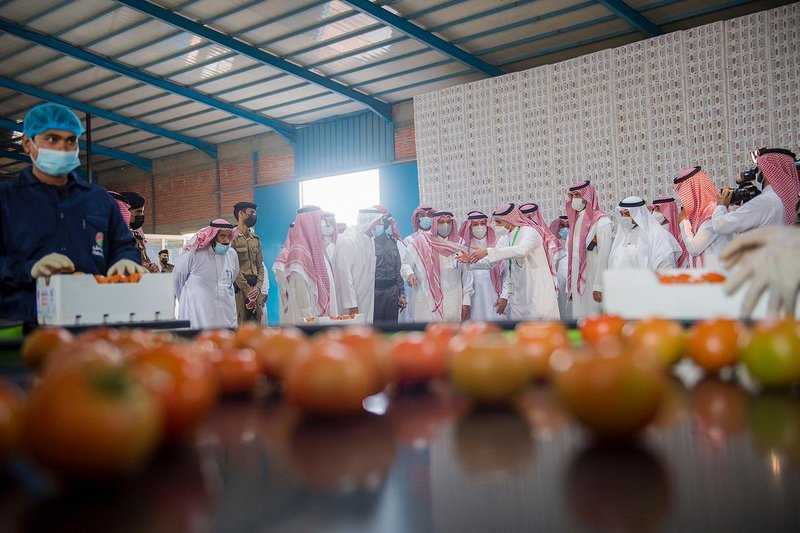 بتكلفة تجاوزت نصف مليار ريال.. أمير القصيم يدشن مشاريع تنموية عدة بعنيزة