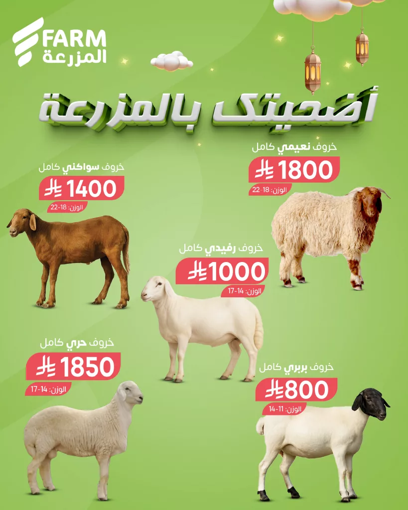 2 133 - عروض الأضاحي من أسواق المزرعة 2025 – أضحيتك بالمزرعة بكل سهولة ضمن جميع الفروع