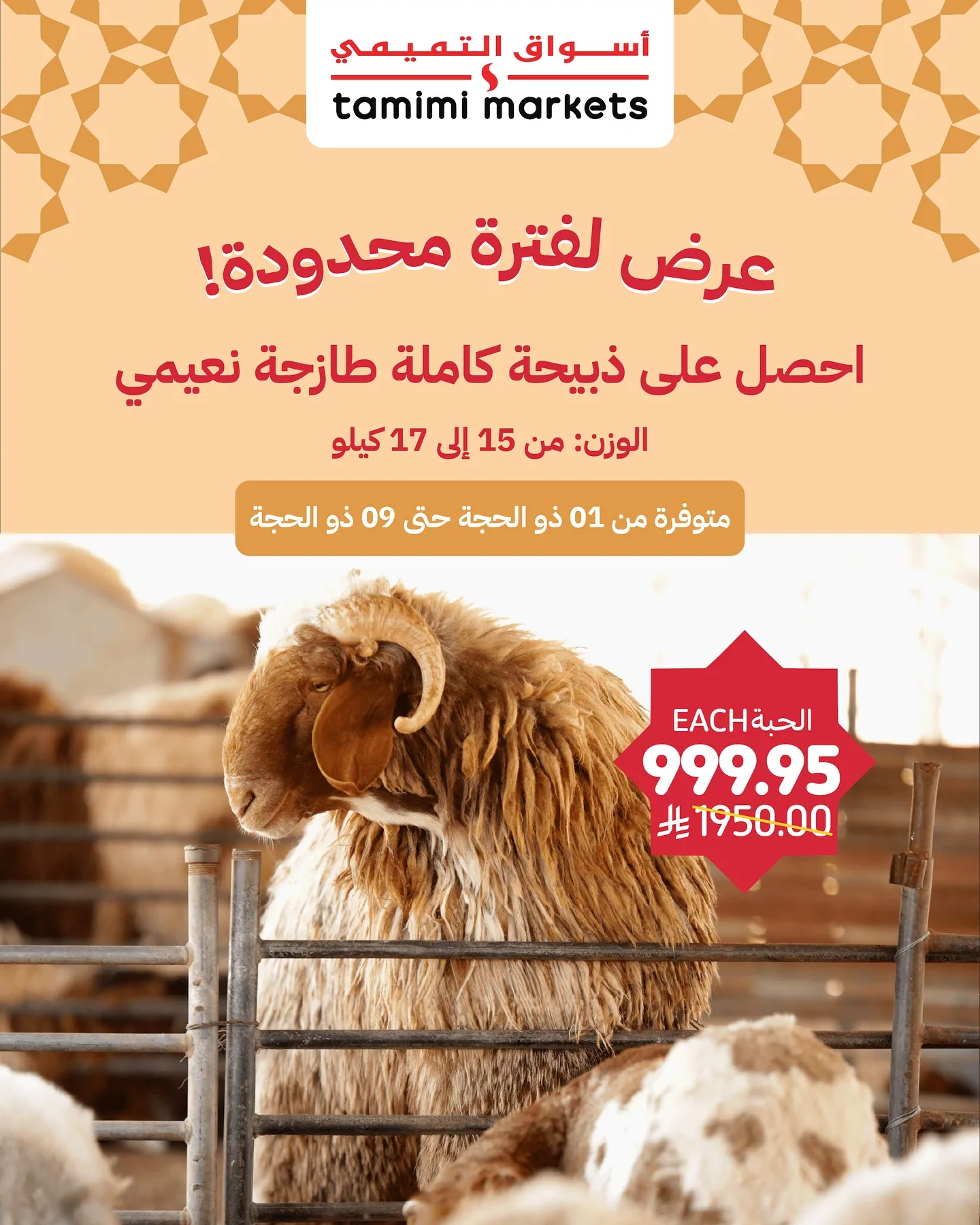 عرض أسواق التميمي: ذبيحة نعيمي طازجة بوزن 15 إلى 17 كيلو فقط بـ 999.95 ريال في الرياض والخبر – متوفر حتى 09 ذو الحجة 1 2 159 - عرض أسواق التميمي: ذبيحة نعيمي طازجة بوزن 15 إلى 17 كيلو فقط بـ 999.95 ريال في الرياض والخبر – متوفر حتى 09 ذو الحجة