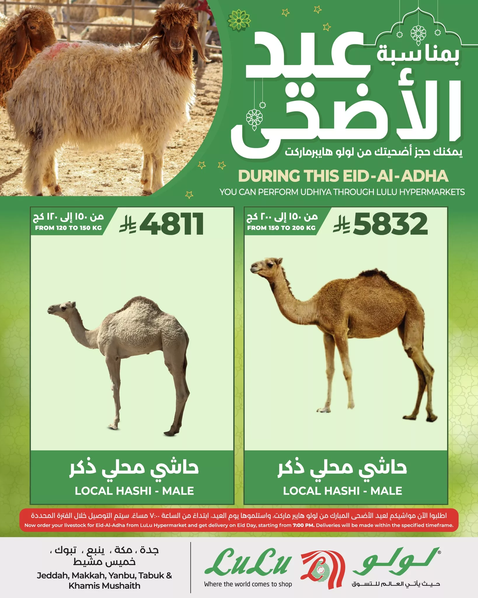 493900261 1146370080862602 7360623452416111353 n - عروض لولو جدة صفحة واحدة علي اضحية العيد | احجز اضحيتك الآن لفترة محدودة