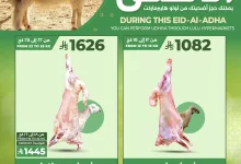 499937149 1146369800862630 5638622307568056546 n - عروض لولو جدة صفحة واحدة علي اضحية العيد | احجز اضحيتك الآن لفترة محدودة