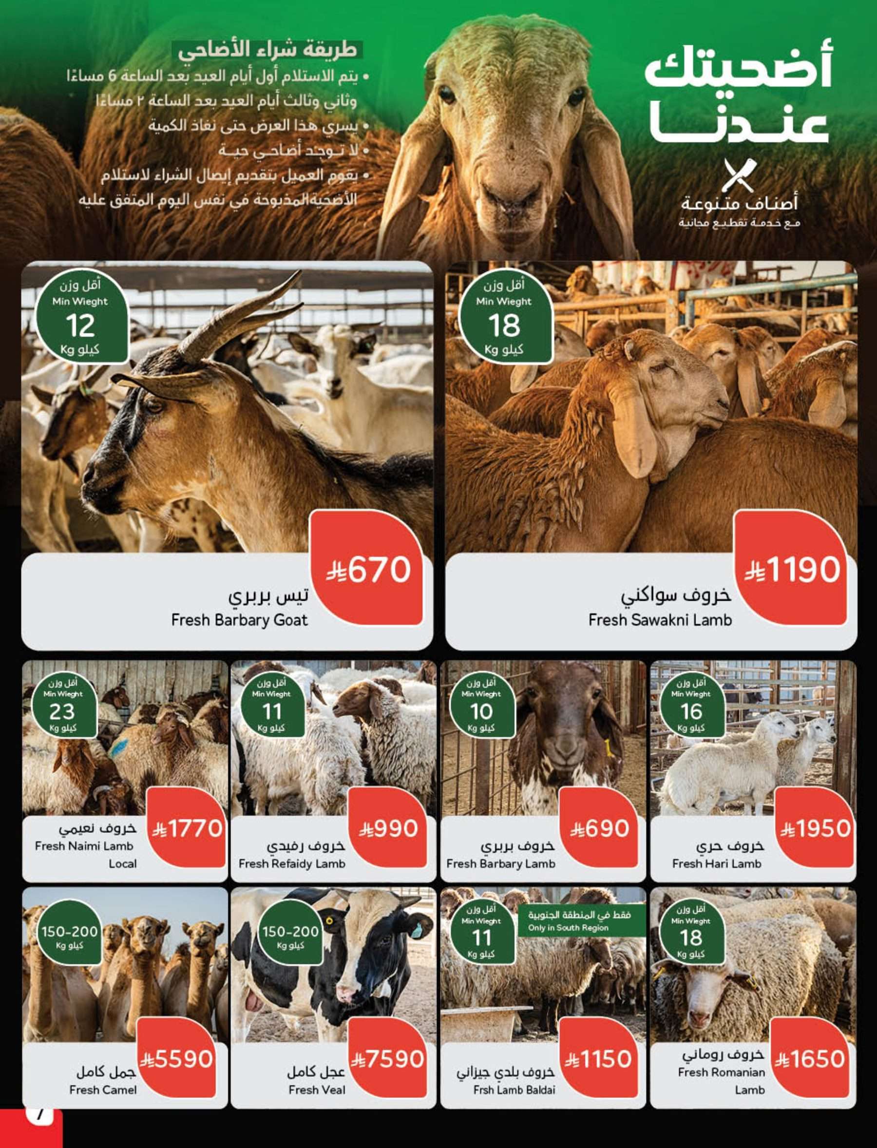 8sn7FN - عروض هايبر بنده الاسبوعية لعيد الاضحي الأربعاء 28-5-2025 اقل الاسعار