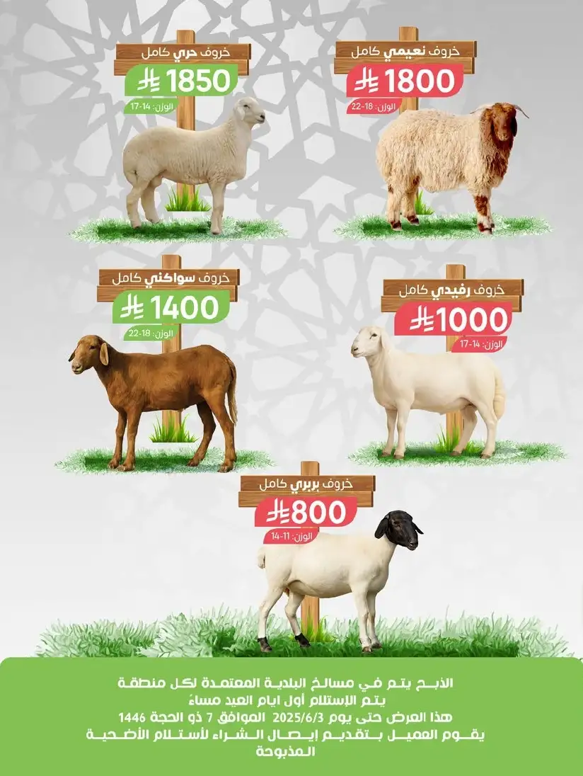 XHTwK2 1 - تصفح عروض اضاحى العيد فى السعودية