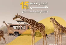 1 18 - عروض الطيران المميزة في السعودية – عرض Flyin إلى أبوظبي يونيو 2025