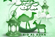 1 47 - عروض عيد الأضحى من أسواق النخبة – من 5 إلى 11 يونيو 2025