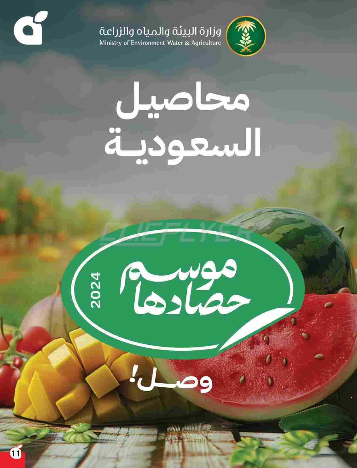 OpBwGf - كتالوج عروض بنده الاسبوعية الاربعاء 25 يونيو 2025 | كمية أكثر بسعر اقل