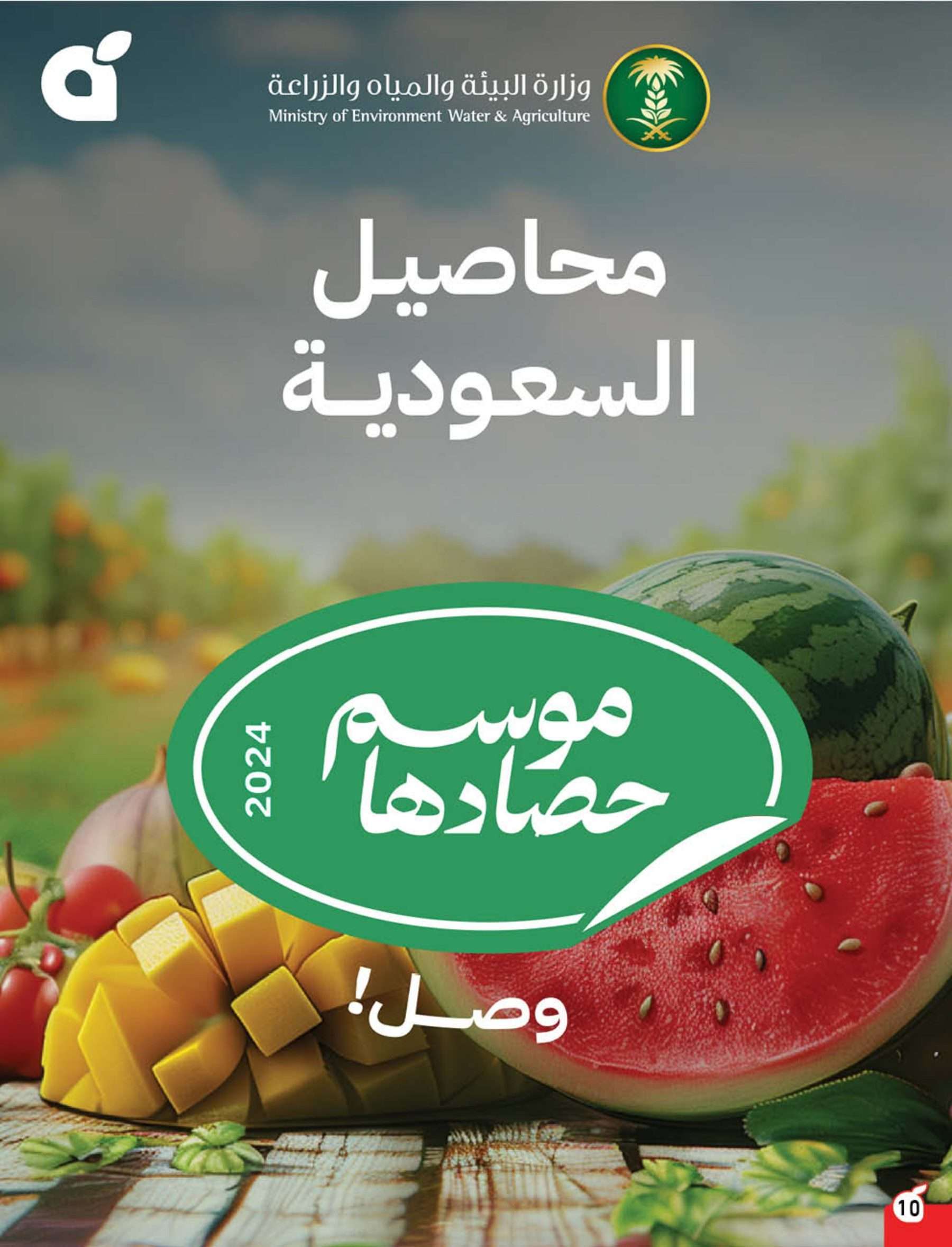 TCTWdK - اليوم الاخير في عروض بنده الاسبوعية الثلاثاء 10/6/2025 | اقوي العروض