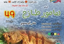 1 138 - عرض عمو رياض على الهامور الطازج: كيلو بـ49 ريال فقط من 12 إلى 14 يوليو