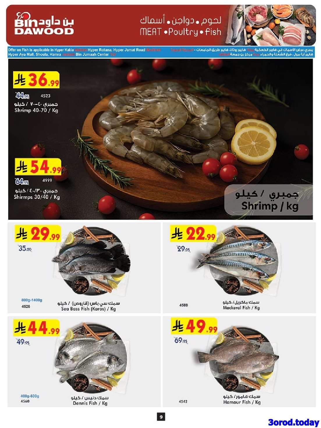 oTuTD1 - عروض بن داود خميس مشيط الأربعاء 6/8/2025 العودة للمدارس