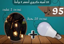 2 11 - احتفل باليوم الوطني السعودي مع باقة إضاءة لايت ستيشن الاقتصادية