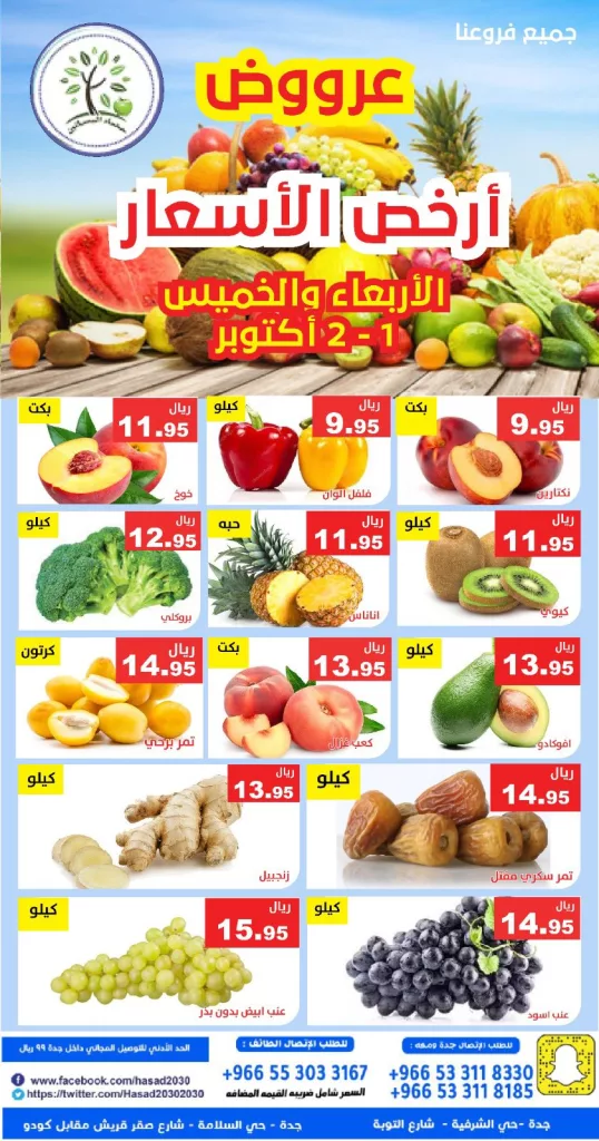 عروض مؤسسة حصاد البساتين في جميع الفروع 2 اكتوبر 2025 3 557619758 1131421855763168 1502850308307519777 n - عروض مؤسسة حصاد البساتين في جميع الفروع 2 اكتوبر 2025