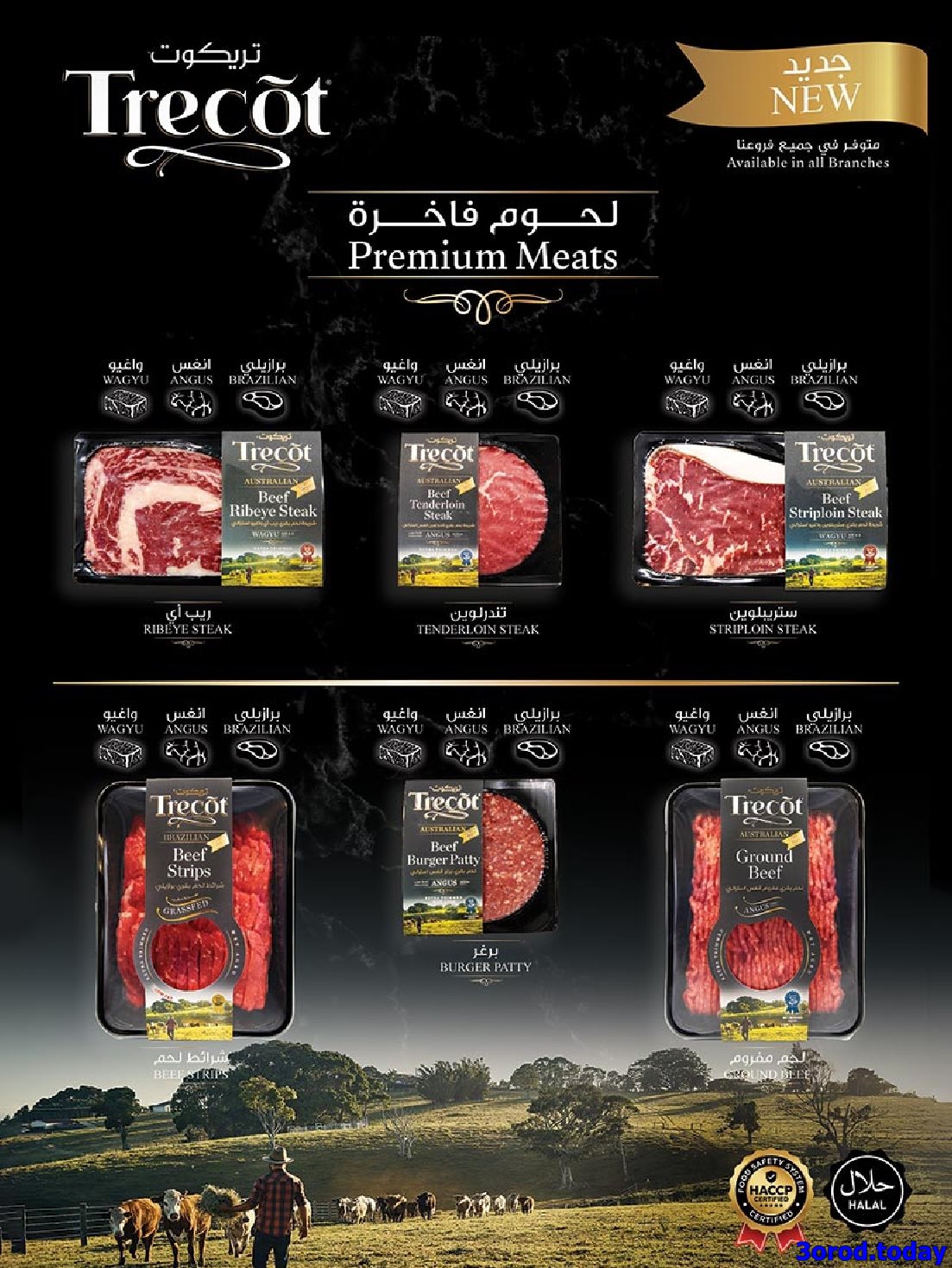 img9b79be70a1f58b678a7a74eb999dd98c - عروض بن داود مكة المكرمة الاسبوعية الاربعاء 1-10-2025 مهرجان الشاي