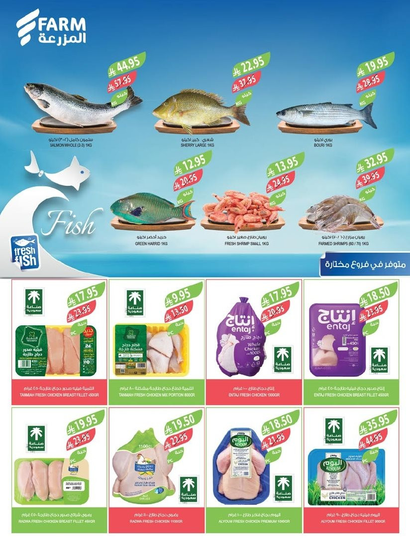 img0fd068078620b4138ea690d9bab0dff1 - تصفح مهرجان الخضروات والفواكه من عروض أسواق المزرعة المنطقة الجنوبية الأربعاء 19/11/2025