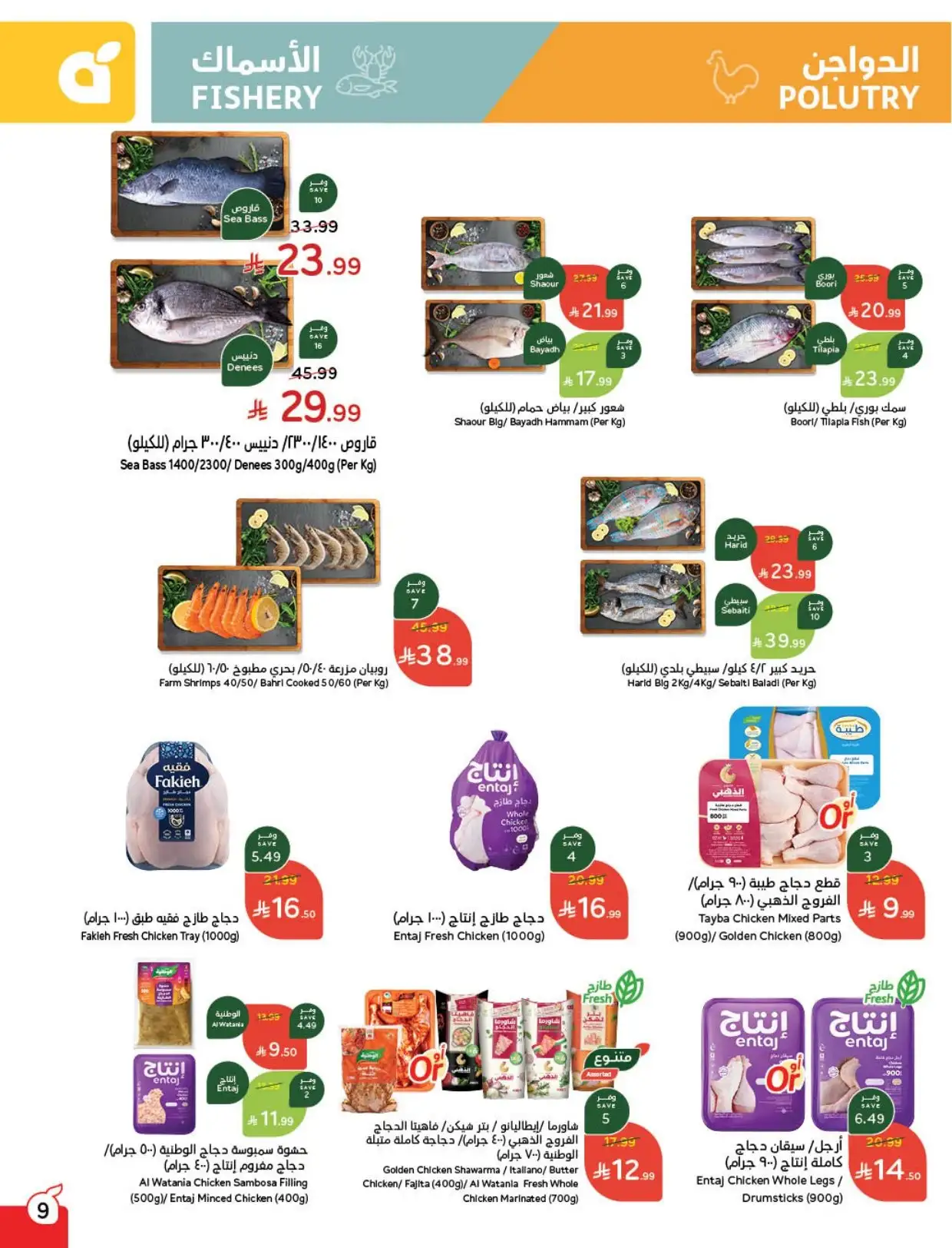 irnptw - مجلة عروض بنده الاسبوعية الاربعاء 11 فبراير 2026 مقاضي رمضان